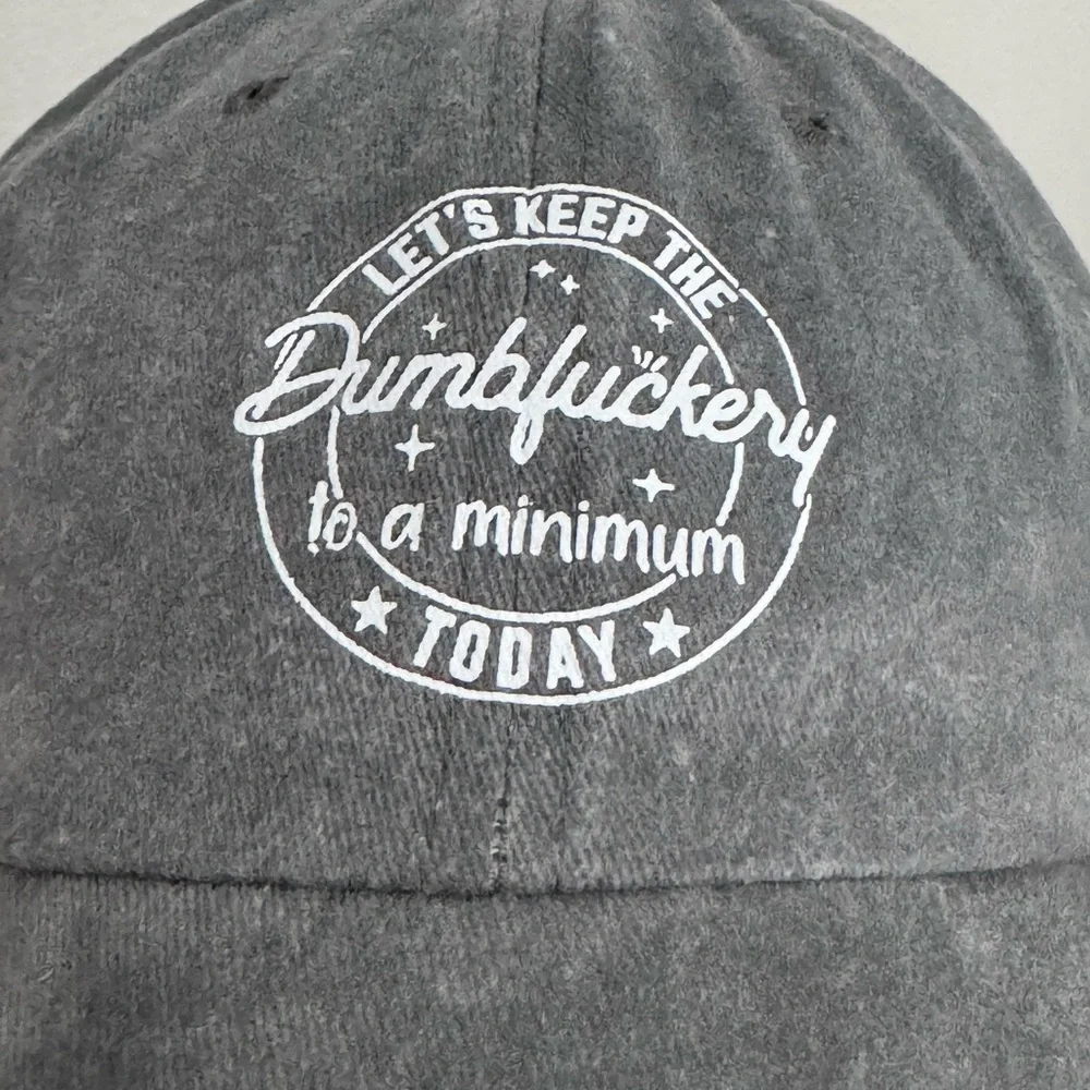 “Let’s Keep the DumbF To a Minimum Today” Funny Blue Gray Casual Cap - Picture 2 of 2